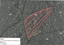 AKUALIZACJA - Zakaz wstępu do lasu